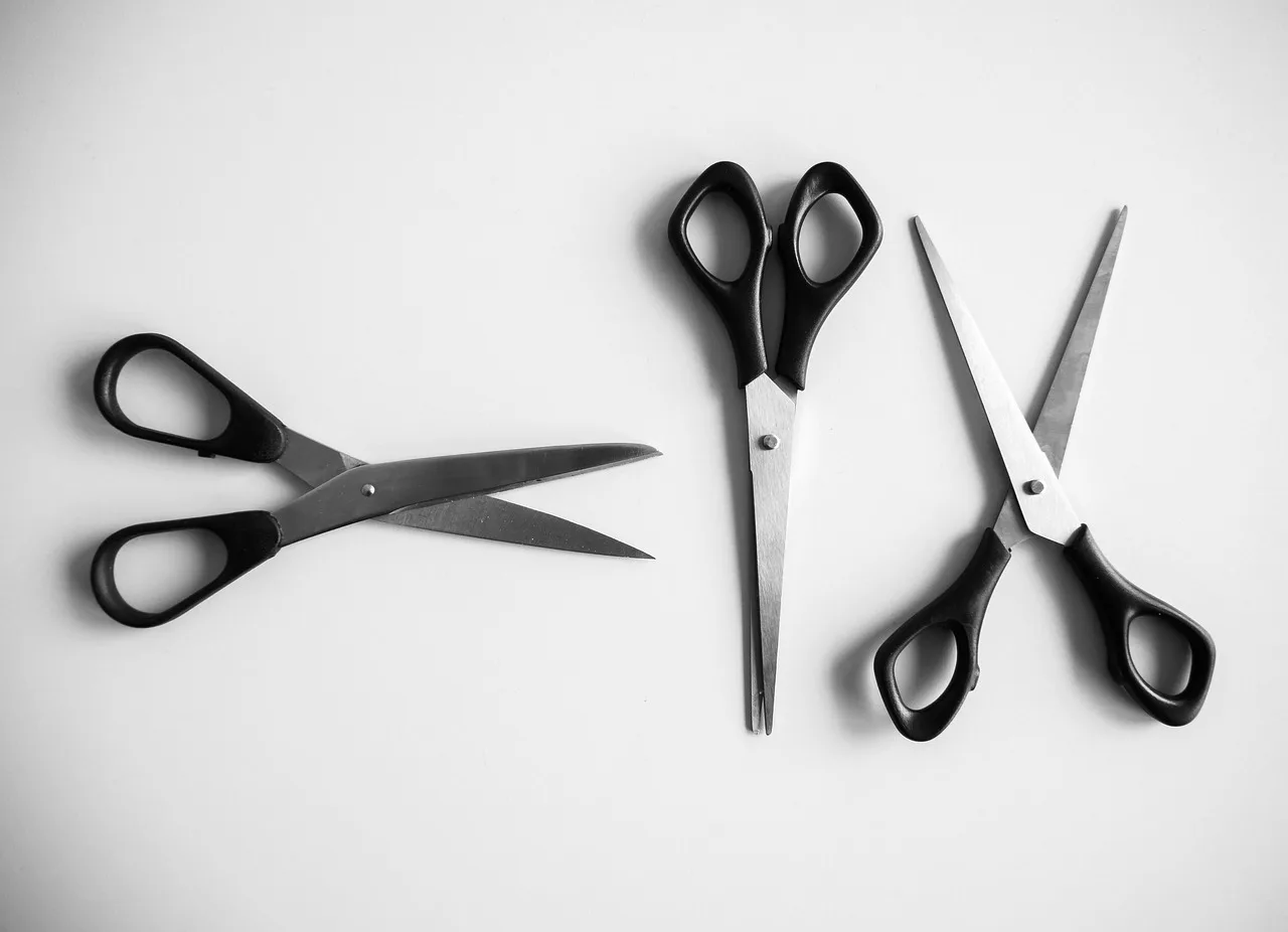 Comment découper un tapis d’entrée pour entreprise ? Guide pratique et conseils professionnels
