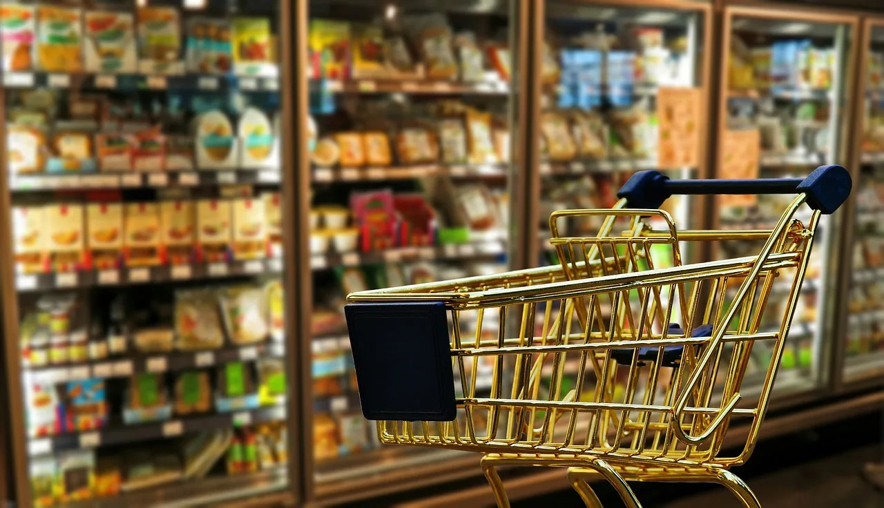 Quel type de tapis d’entrée est le plus adapté aux supermarchés et hypermarchés ? Conseils pour bien choisir.
