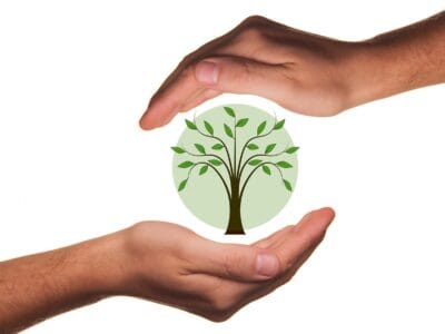 Réduire l&rsquo;impact environnemental des tapis professionnels : Solutions et choix éco-responsables pour les entreprises