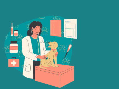 Tapis pour cliniques vétérinaires : Offrez confort et hygiène à vos animaux avec des tapis personnalisés de Tapis-Logo 🐾🩺