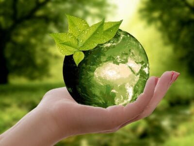 Comment les normes environnementales influencent-elles le choix des tapis professionnels ?