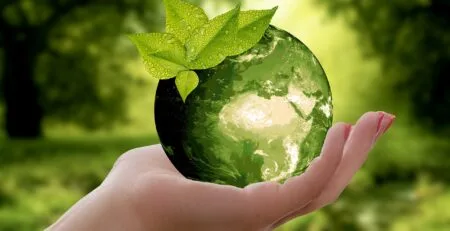 Comment les normes environnementales influencent-elles le choix des tapis professionnels ?