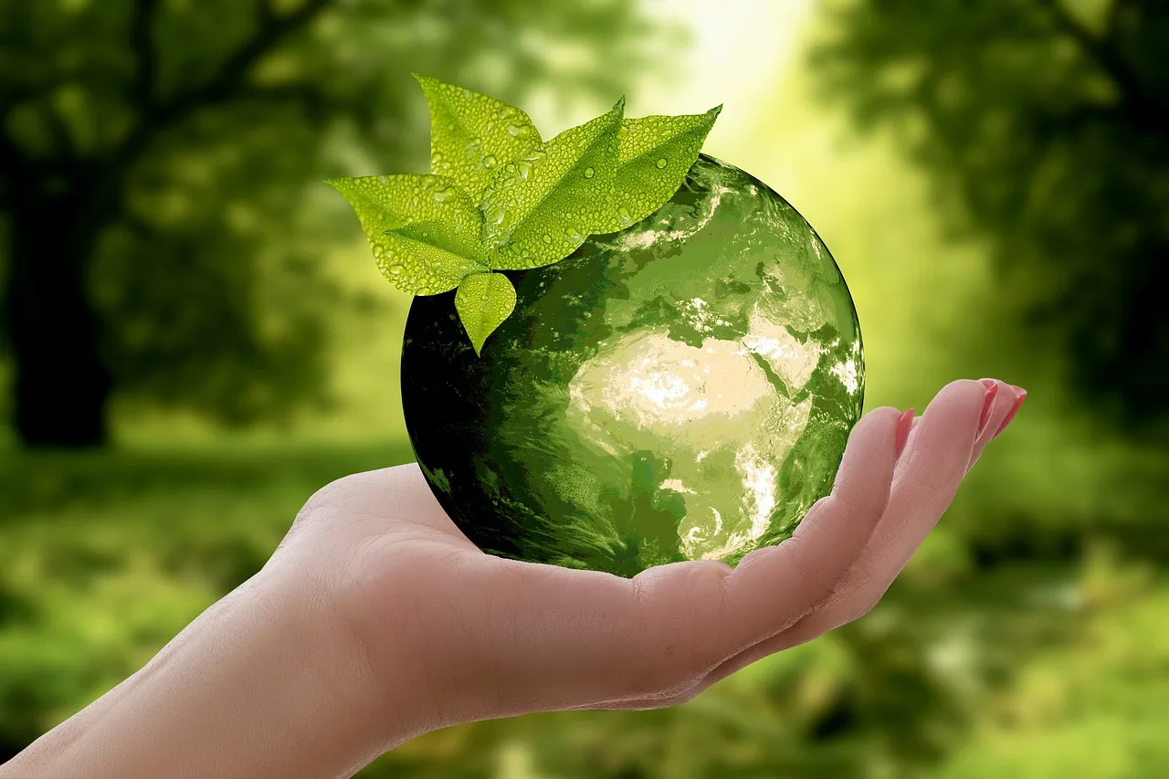 Comment les normes environnementales influencent-elles le choix des tapis professionnels ?