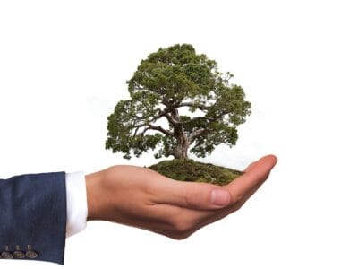 Quels sont les avantages des tapis écologiques et durables pour les entreprises soucieuses de l&rsquo;environnement ? 🌍