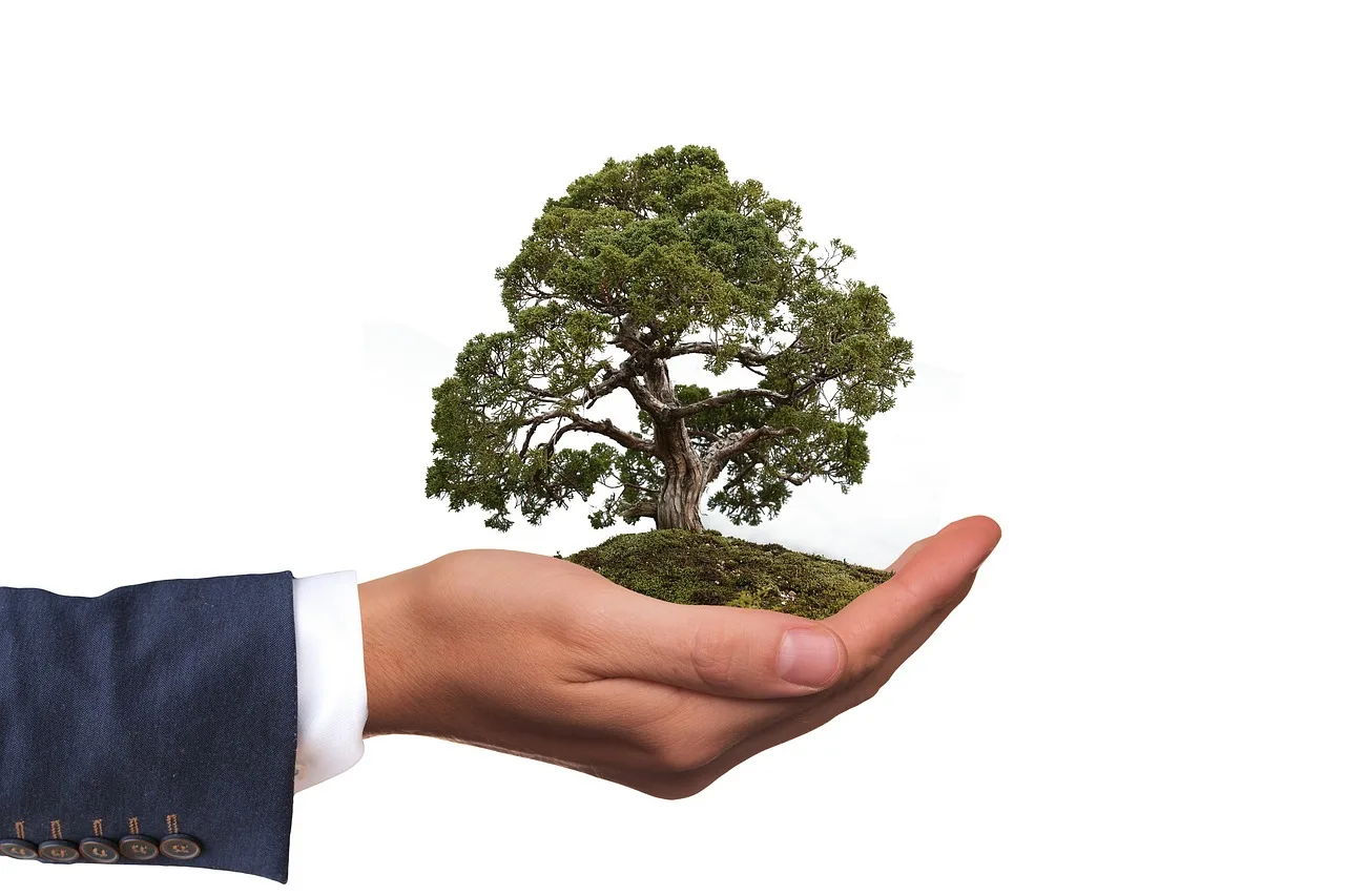 Quels sont les avantages des tapis écologiques et durables pour les entreprises soucieuses de l’environnement ? 🌍
