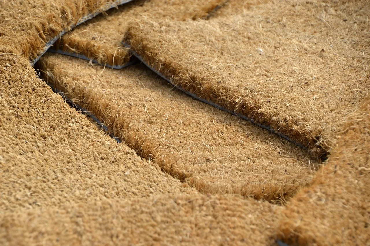 Tapis Coco : l’élégance naturelle qui fait fureur sur les réseaux sociaux 🌿