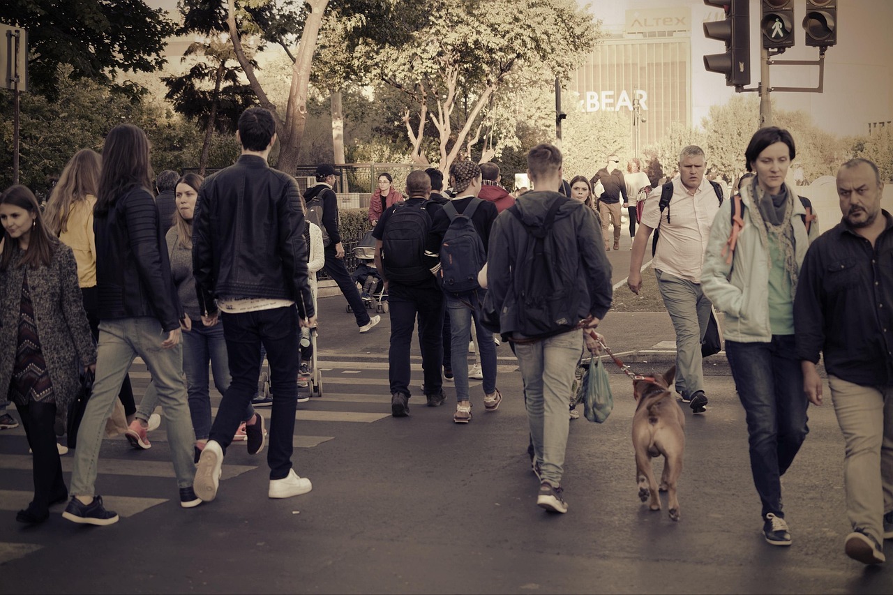 Quelle surface de tapis prévoir selon le trafic quotidien.